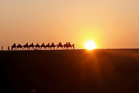 Reizigers genieten van een kamelentocht in Agafay